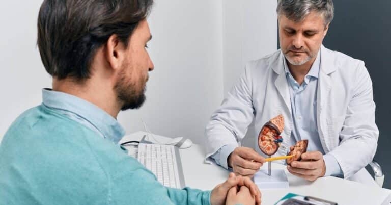 A urologist showing a kidney model to a male patient during a consultation, representing urology and urinary tract health education.