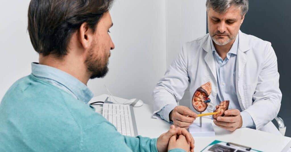 A nephrologist showing a kidney model to a patient during a consultation, explaining kidney function and treatment options related to nephrology and renal health.